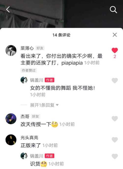 快手点赞的意义与作用（了解快手点赞为何如此重要）