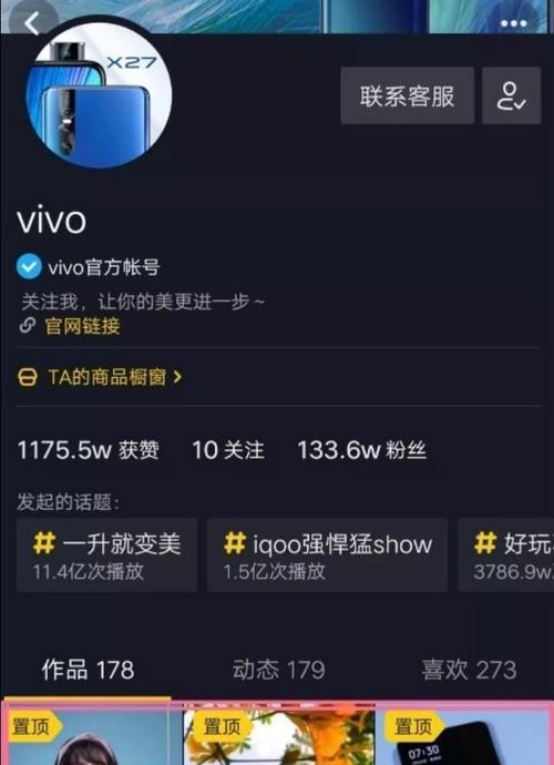 盘点抖音音乐任务平台，打造你的音乐舞台（抖音音乐任务平台一览）
