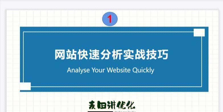 如何进行网站SEO优化诊断和分析（全面掌握SEO优化的技巧）