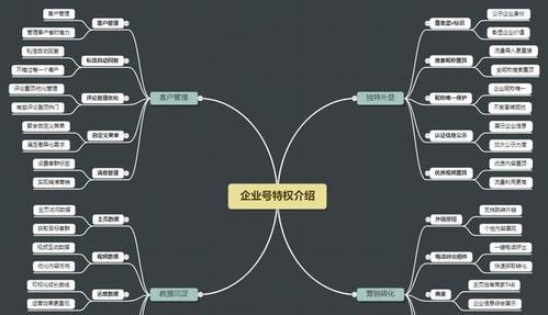 如何做好抖音企业号运营（15个实用技巧帮你提升企业号运营效果）