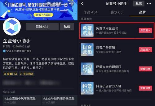 抖音福袋中奖记录查询攻略（了解中奖记录）