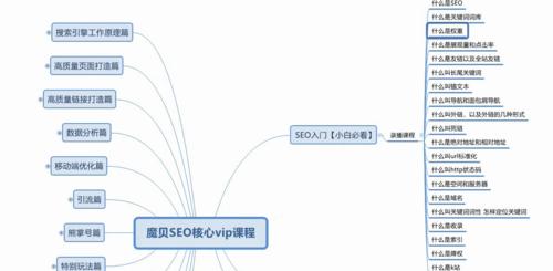 如何利用生态站群实现SEO快速排名？常见问题有哪些？
