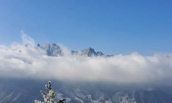 武夷山网站建设有哪些特色？如何利用地域优势进行网站建设？