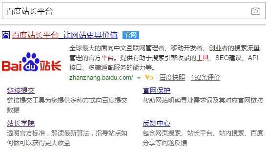 如何进行网站seo查询？
