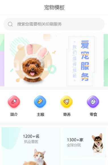 宠物网站模板如何选择更好？选择时应考虑哪些因素？