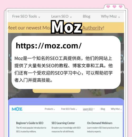 小飞机搜索引擎好用吗？哪个版本更推荐？