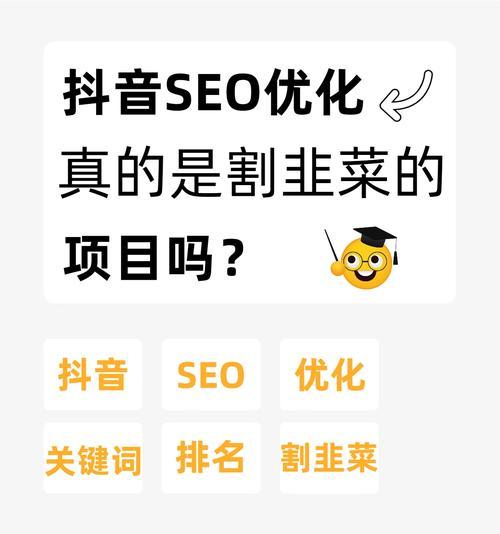 西城抖音seo排名为何形成巨流？