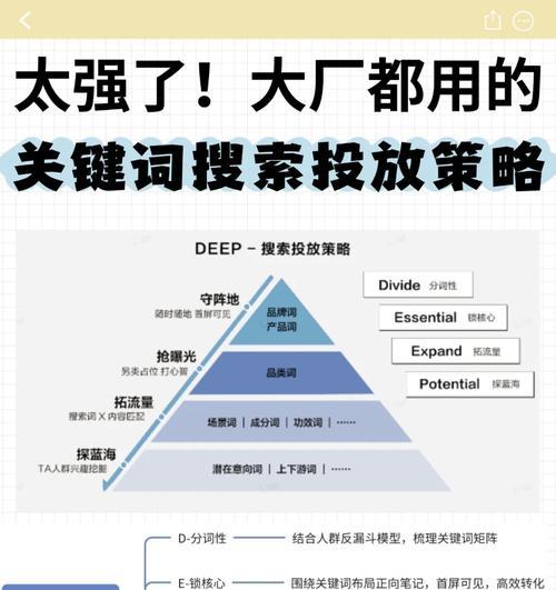 用户通常使用哪些关键词搜索网站？