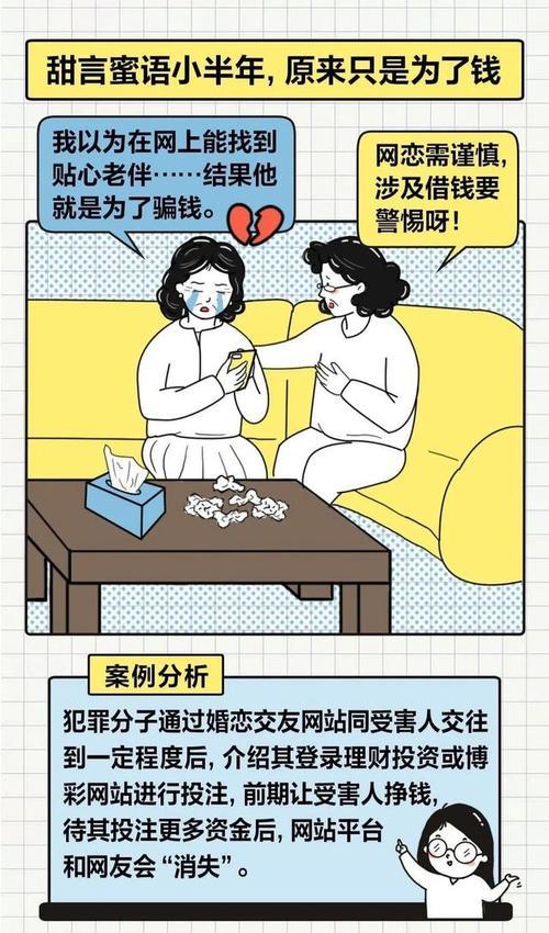 如何撰写优化网站骗局的案例分析？