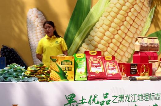 黑龙江网站推广效果如何？提升网站流量的策略是什么？