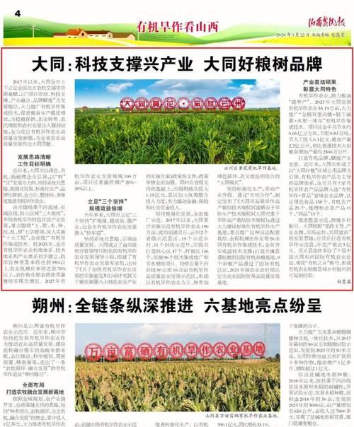 大同网站如何做推广运营？有哪些有效的推广策略？