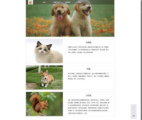 HTML网页开发用哪些软件？如何选择合适的工具？
