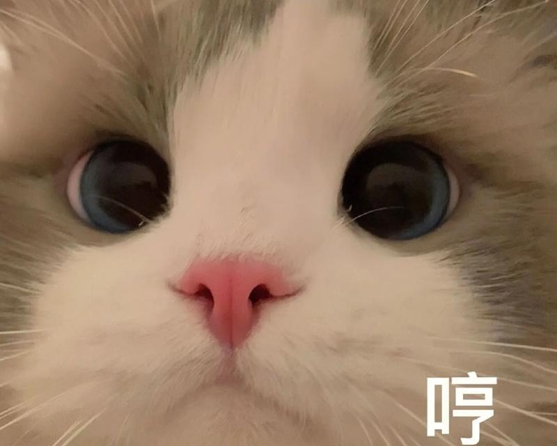 抖音哼唱声音剪辑技巧？如何快速编辑哼唱片段？