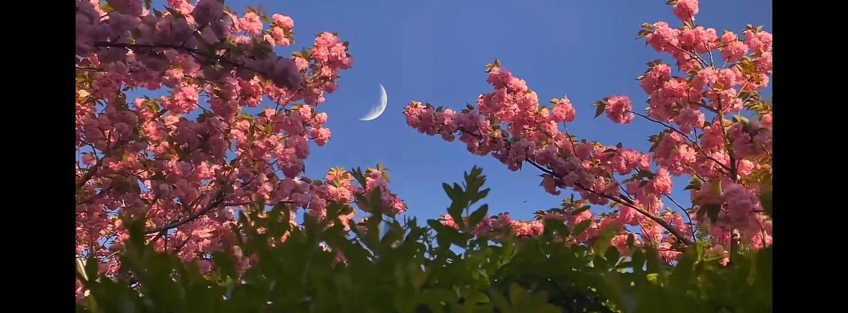 风景视频在抖音如何剪辑？剪辑技巧有哪些？
