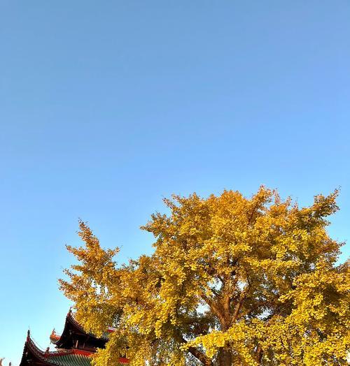 风景照在抖音上如何剪辑？剪辑技巧有哪些？