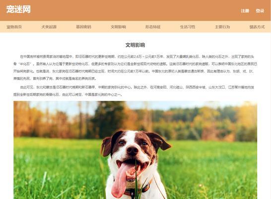 宠物网站设计与分析怎么写？如何提升用户体验和SEO效果？