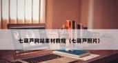 素材网站如何推广？有哪些有效的推广策略？