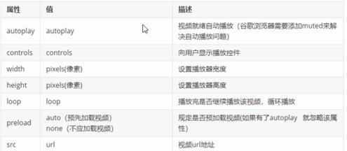 HTML标记属性有哪些？如何正确使用它们？