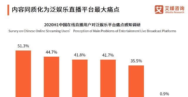大型网站问题分析怎么写？如何有效识别和解决网站常见问题？