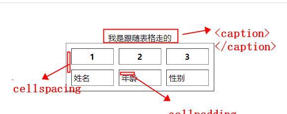 HTML表单控件不包括哪些内容？如何正确识别表单元素？