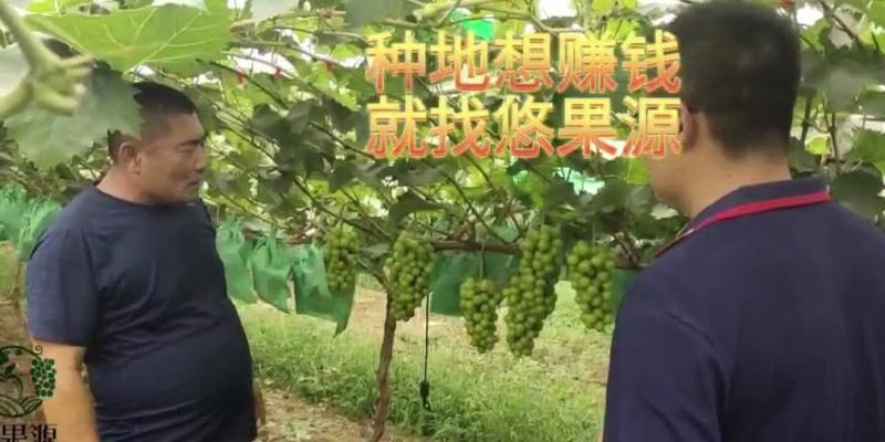 烟台网站如何做推广赚钱？有哪些有效方法可以实现盈利？