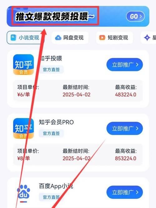 如何给小说网站推广赚钱？有哪些有效策略和常见问题解答？