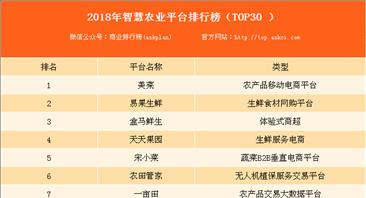 网站排名分析怎么写？如何通过分析提升网站SEO效果？
