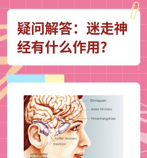 蓝天算法是什么？它在搜索引擎优化中有哪些作用？
