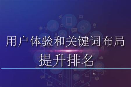 SEO职业发展趋势分析(未来职场如何找到一份稳定的SEO工作?)