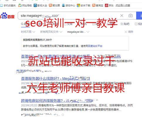 SEO在2024年是否还能够获得增长？（探索搜索引擎优化的未来）